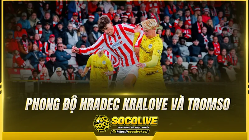 Phong độ Hradec Kralove và Tromso được Socolive tổng hợp