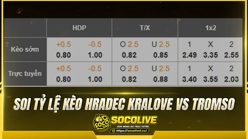 Soi tỷ lệ kèo nhà cái trận Hradec Kralove vs Tromso 
